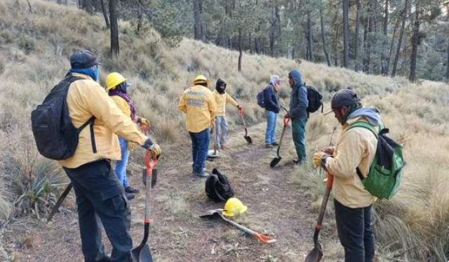 Controlado al 100% el incendio forestal en el Parque Nacional Iztaccíhuatl: Semarnat