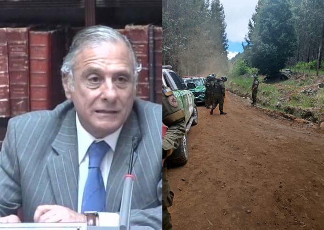 Acusan a exsenador Eugenio Tuma de talar bosque nativo con resguardo policial