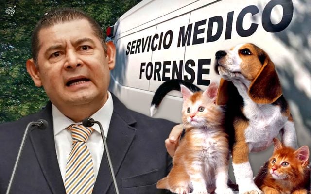 Alejandro Armenta presentará iniciativa para crear Semefo veterinario