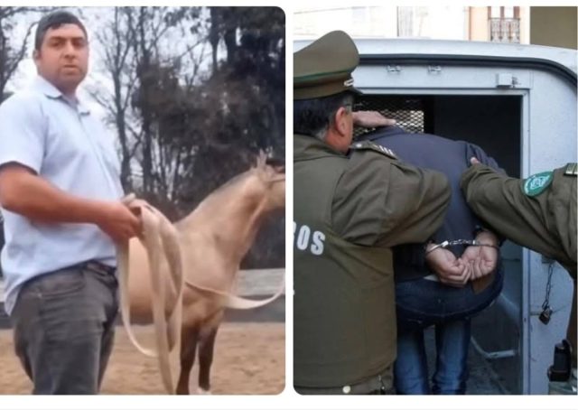 Decretan prisión preventiva a Manuel Zamorano, sujeto acusado de agredir a perrito en Talagante
