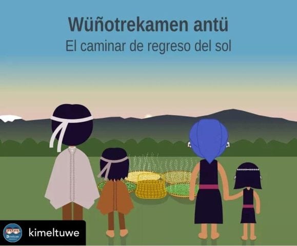 Wyñotrekamen Antu (Solsticio de Verano): Visos y visas