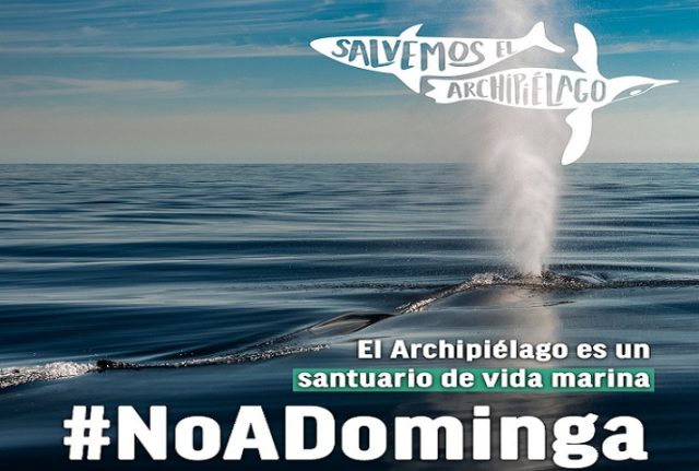 No a Dominga: Lanzan campaña “Salvemos el Archipiélago”