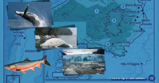 El paraíso que perdimos: Crónica de viaje al Estado salmonero (canadiense, en la Patagonia)