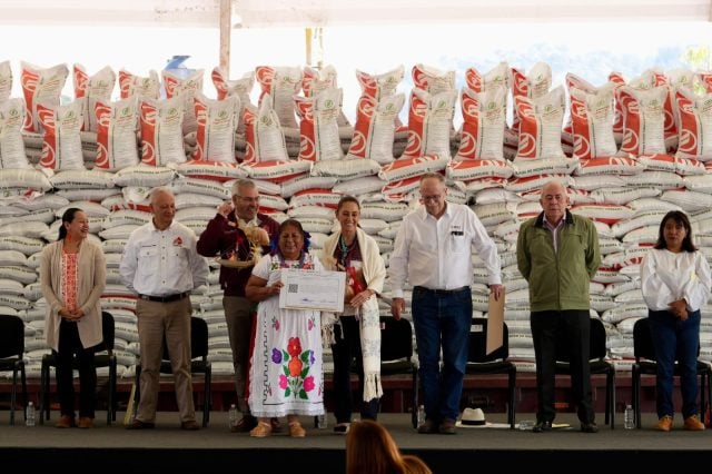 En Michoacán, Claudia Sheinbaum encabeza entrega del Programa de Fertilizantes para el Bienestar