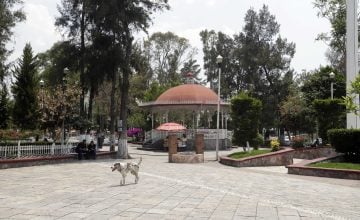 Leonardo Buitrago