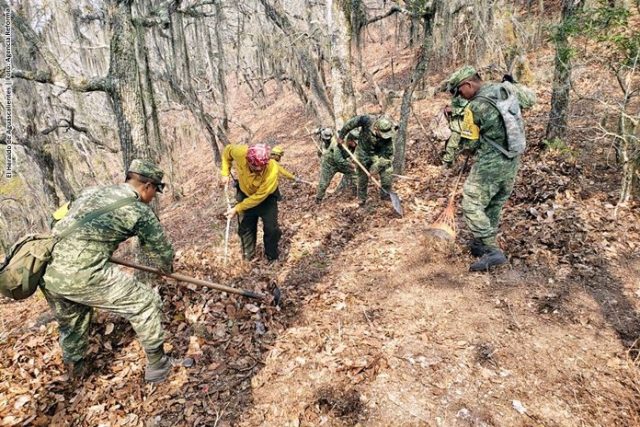 Ejército aplica el Plan DN-III-E para combatir incendios en la Huasteca Potosina