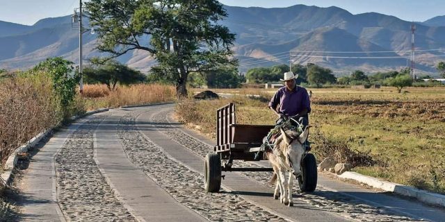 El Ciudadano México