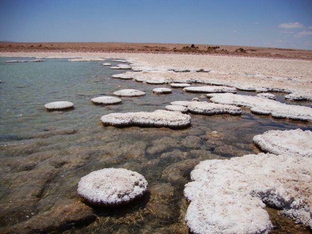 Absalón Opazo