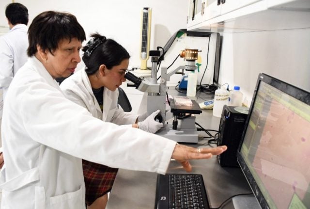 Con modelos computacionales, investigadores BUAP predicen y describen la regeneración epitelial