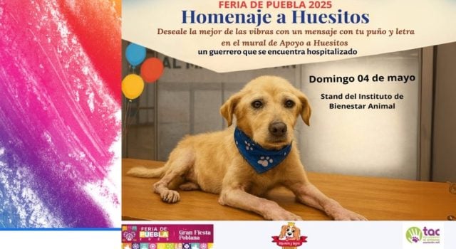 Huesitos Portada