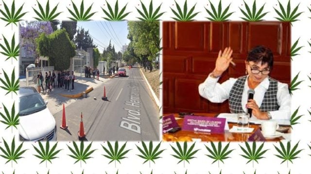Regidora denuncia venta de droga en puestos de comida frente al BINE Juan Crisóstomo Bonilla