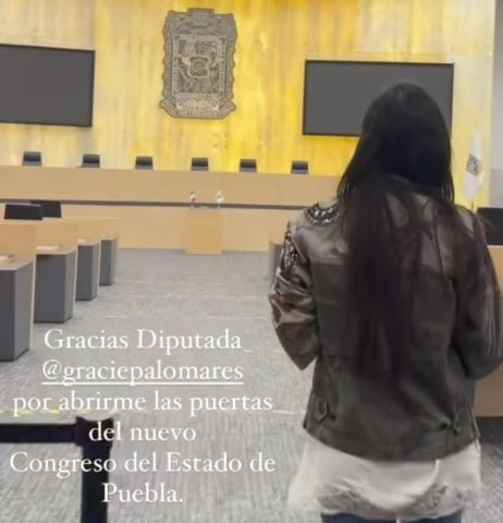 Grace Palomares impulsa exposición de artista con historial de tráfico de animales y nexos con el morenovallismo