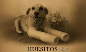 El Ciudadano México