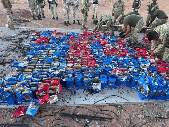 Droga oculta en café: aseguran 701 kilos de cocaína en San Luis Río Colorado, Sonora