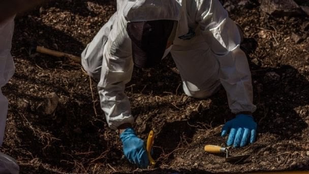 FGR confirma hallazgo de 42 cuerpos calcinados en Colima, en su mayoría de mujeres jóvenes