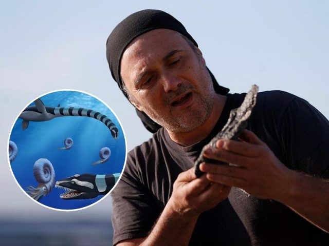 Chileno tras el hallazgo: Descubren feroz reptil marino de 85 millones de años en Canadá
