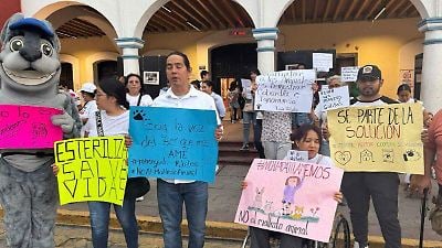 Muerte de gato «Merengue» detona protesta por maltrato animal