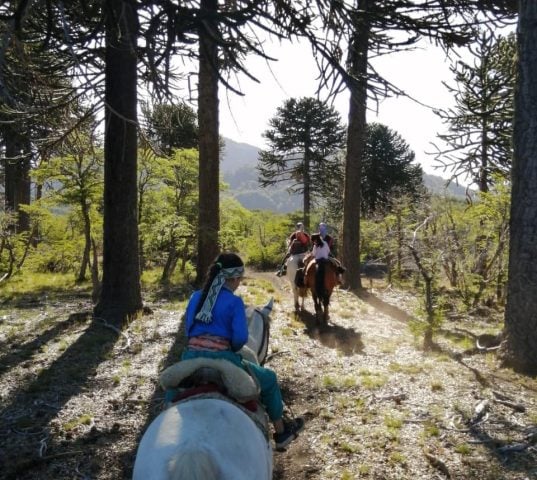 Corte Suprema acoge recurso de protección en favor del Lof Quinquen por persecución armada de la PDI a infancias mapuche