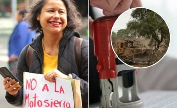 permisología