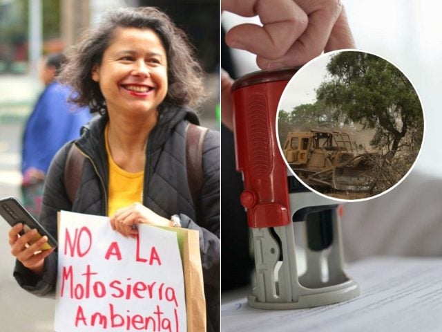 permisología