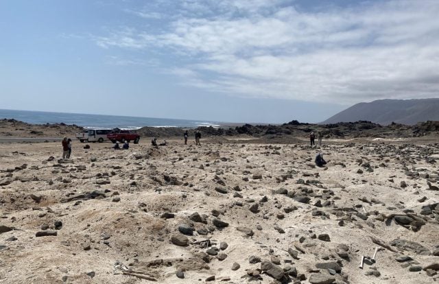 Denuncian que profanación de tumbas y cementerios prehispánicos es constante en el norte de Chile