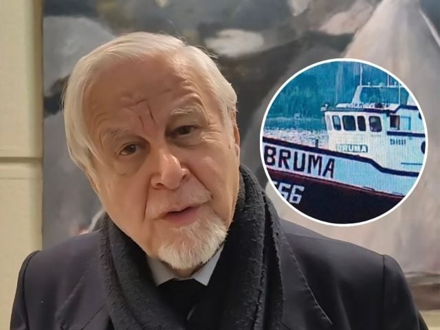 “Me dio la impresión de que Cobra fue la nave que colisionó a Bruma”: Celedón tras sesión clave de Comisión Investigadora