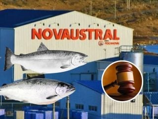 Nova Austral falsificó datos ambientales