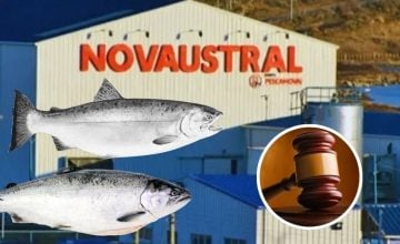 Nova Austral falsificó datos ambientales