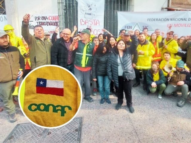 “Le doblamos la mano al Gobierno”: Trabajadores de Conaf celebran salida de Aída Baldini, pero el paro sigue