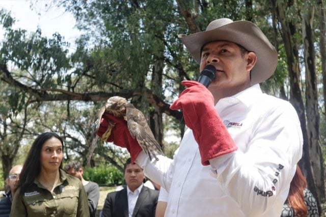 Hacer funcional el Teleférico de Moreno Valle costaría a Puebla cerca de 5 millones de euros