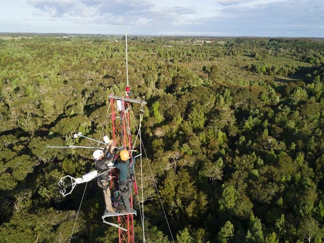 Investigadores advierten grave riesgo ambiental y científico por proyecto eólico en zona de reserva de Chiloé