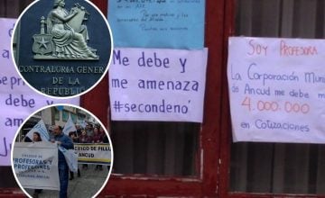docentes