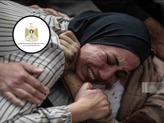 genocidio israelí en Gaza