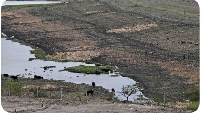 Sólo cinco municipios de Puebla mantienen sequías en 2025