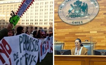 261 organizaciones