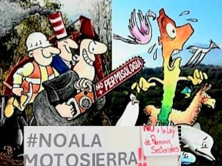 Motosierra