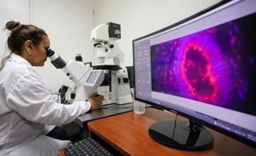 cáncer