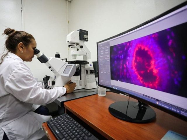 cáncer
