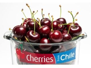 exportaciones de alimentos chilenos 2025