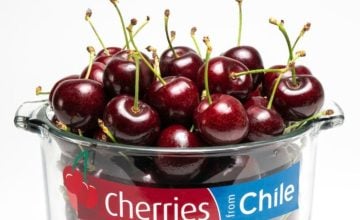 exportaciones de alimentos chilenos 2025