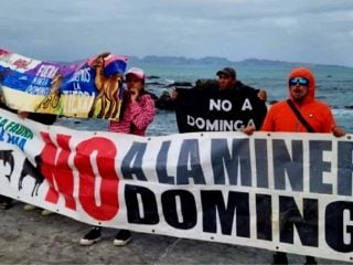 Dominga