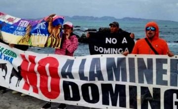 Dominga