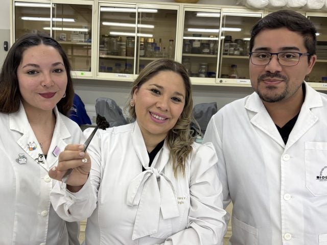 Investigación que busca recuperar suelos dañados representará a Chile en la COP30