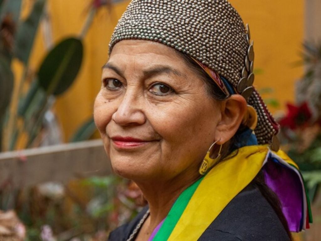 “Somos un pueblo con memoria”: Elisa Loncon pide reconocimiento estatal del despojo y del “genocidio” para lograr paz