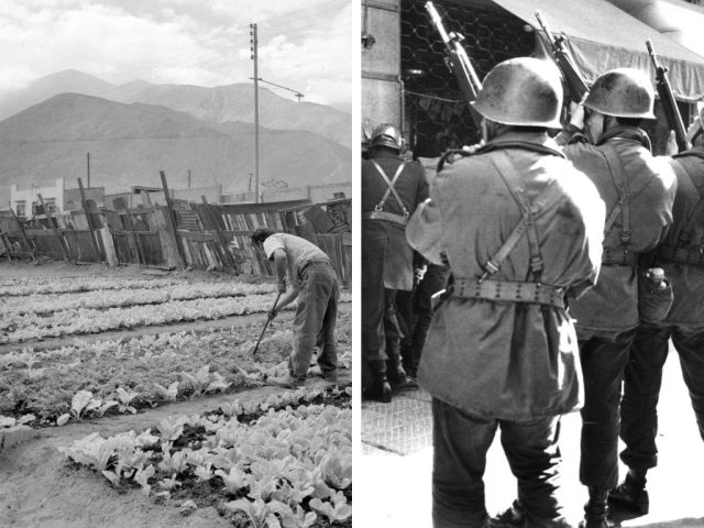 agricultor
