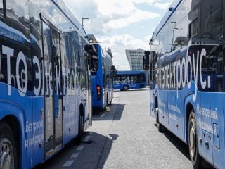 autobuses