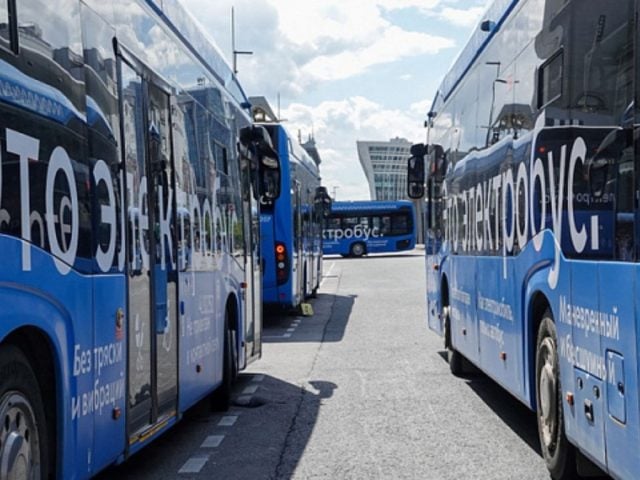 autobuses