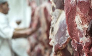 Carne
