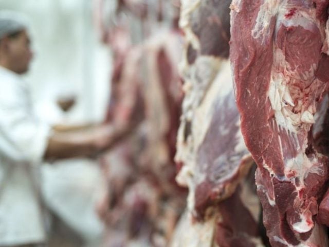 Carne