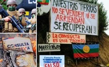 consulta indígena sistema de tierras 2